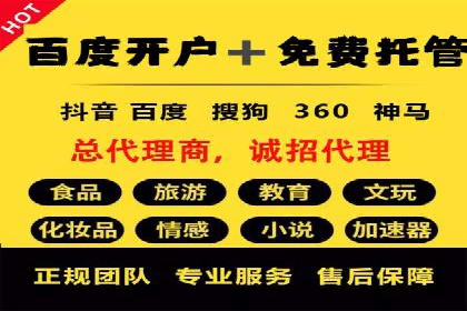 某行业SEM投放效果显著案例分享